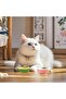 5-Piece Catnip Roller Ball Set, Wall Mount Catnip Toy with 2 Replacement Balls for Cats - 6