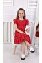 Girl's dress