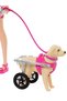Ve Engelli Köpeği Oyun Seti - 5