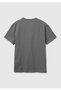Men's Matte Gray 100% Cotton Regular Fit Crew Neck T-Shirt - 2