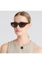 Ds 2399 C 2 Women's Sunglasses - 2