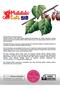 Spino Matatabi Matamix (Matatabi Leaf, Matatabi Powder, Premium Catnip) Content-Rich, Sound-Making, Fabric Cat Toy 27 cm) - 6