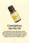 Myrrh Essential Oil (5 ml) - 2