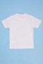Tiger Printed Crew Neck Boys' T-Shirt - 4
