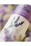 Lavender Shower Gel - 400 ml (Alcohol/Sls/Sles Free.) - 2