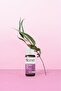 Palmarosa Oil 10ml - 2