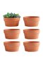 S 6 PCS Terracotta Buld Pots 3.5"x2.2" Flower Pots Clay Pottery Planter with Drainage Hole Cactus S. - 6
