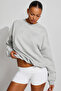 Gray Long Sleeve Basic Women's Sweatshirt Sh278