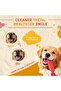 Himalayan Dog Dental Chew| Blueberry, Strawberry, Cranberry| All Natural, Junk-Free| L - 4
