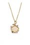 Women's Gold Color Steel Sea Shell Mussel Necklace with Pearlescent Silvery Look and Zircon Stone