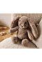 Plush Rabbit