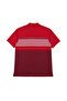Men's Large Size Red Polo Collar Short Sleeve Striped T-Shirt 3Xl-4Xl-5Xl-6Xl - 5