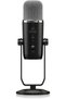 BIGFOOT - Microfon condenser USB