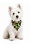 Adjustable Scarf, Chest Harness and Travel Strap Set of 3 - 3