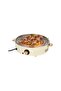 2-in-1 Electric Grill & 1400W Multi-Functional Food Heating Tray Hot Plate
