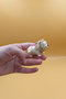 Cute Golden Maneed Lion Movable Keychain Bag Ornament Charm - 4