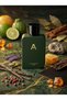 Tariq EDP – 100ml Premium Men’s Niche Perfume – Rugged Leather, Sweet Vanilla & Golden Amber