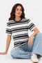 Women's Anthracite Striped Crew Neck Short Sleeve 100% Cotton Regular Fit T-Shirt - 2