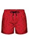 Large Size Water Repellent Digital Printed Men's Beach Shorts Swimwear // 411-Red - 3