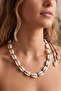 Sea Shell Mussels Choker Necklace - 2