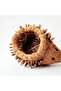 Hedgehog Planter - 4
