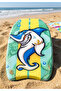 SURFING BOARD 100×46×5CM MIX DESIGN - 5