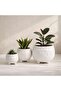 Plummer Stoneware Organic Round Planter 21x21x17.8cm - White - 3