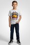Kids Boy Sportswear Fit Short Sleeve Outdoor T-Shirt, Grey