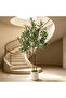 122 cm Artificial Olive Tree Double Trunk – Lifelike & Maintenance-Free with White Planter, Suitable for Living Room & Office