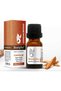 Sandalwood Oil Organic and Herbal Oils, 10Ml - 2