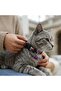 Adjustable, Clip-On, and Bell Collar for Cat and Dog - 2