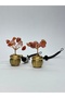 Fengshui Gold Money Pouch Agate Natural Stone Keychain - 2