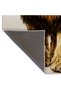 Sdtamor Lion Patterned Modern Woven Base Decorative Carpet Sdtamor2163 - 6
