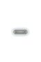 USB-C to Apple Pencil Adapter - 2