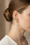 Women's Yellow Color Star and Compass Detailed Zircon Stone Earrings and Cartilage Earring Set - 2