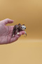 Animated Cute Sloth Animal Keychain (Large Size) - Animated Keychain Bag Ornament Charm - 5