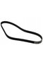Curea Poly-V Continental 7PK2255 - 2