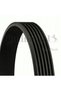 Curea Poly-V Continental 7PK1730 - 5