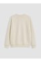 Lcw Kids Beige Crew Neck Printed Boys' Sweatshirt - 4