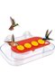 Hummingbird Window Feeder with Suction Cup, 4 Feeding Ports & Water Reservoir, Transparent, 20x12.2x5 cm