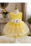 Baby Girl Lace Dress Wedding Religious Ceremony Dress Baby Gift - 3