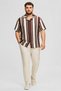 Men Regular Fit Short Sleeve Stripe Casual Shirt, Multicolor - 2