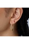 316L Steel Pvd Red Pepper Earrings - 2