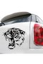 Gear Tiger Vehicle, Car, Auto, Motorcycle, Helmet, Laptop, Glass Sticker 15X14 cm - 2