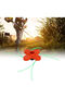 4-line trimmer head 10x1.25mm internal thread for brush cutters - 5