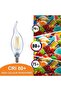 E14 Led Bulb, E14 Flame Tip LED Filament Candle Light Bulb, 40w Incandescent Equivalent C35 4W 2700K - 7
