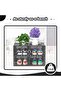 Large 12 Pack Shoe Storage Box, Clear Plastic Stackable Shoe Organizer for Closet, Space Savin - 4