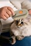 Steam Pet Comb for Cats and Dogs with Silicone Handle Hy-660 - 5