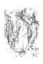 The Strange Case of Dr Jekyll and Mr Hyde-Om Illustrated Classics by Robert Louis Stevenson (Author) - 7