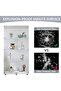 64.5'' Glass Display 4-Shelf Cabinet in Clear with Two Door, White Curio Cabinet Case Collection Display Case, Floor Standing Bookshelf for Living Room Bedroom Home Office (White) - 5